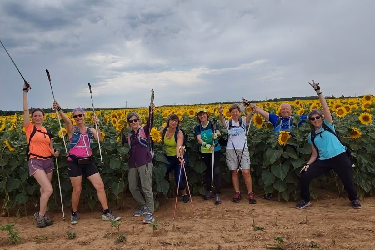 Groupe joyeux bras levés devant un champ de tournesols
