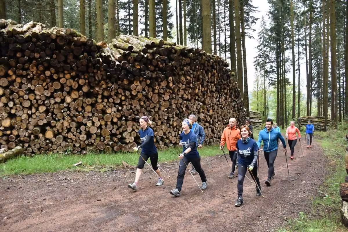 Groupe en marche nordique sur une piste forestière, bois empilé en arrière-plan