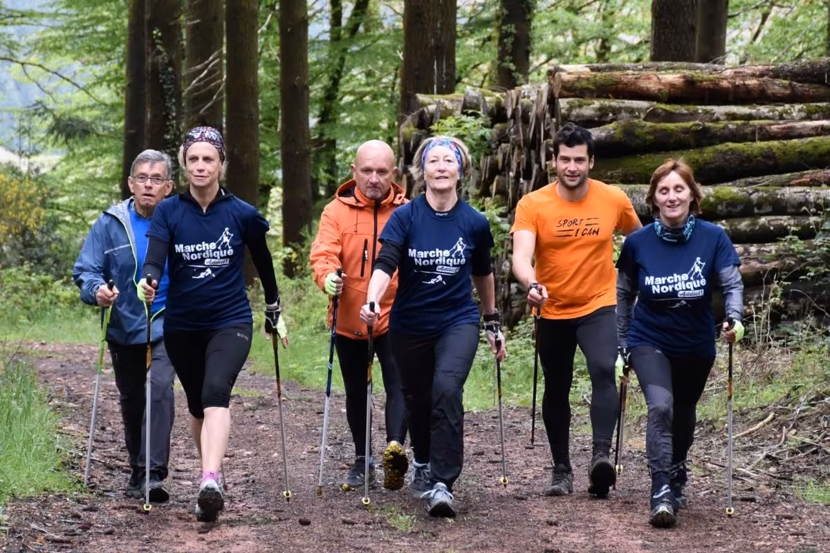 Groupe en marche nordique sur un chemin forestier du Morvan